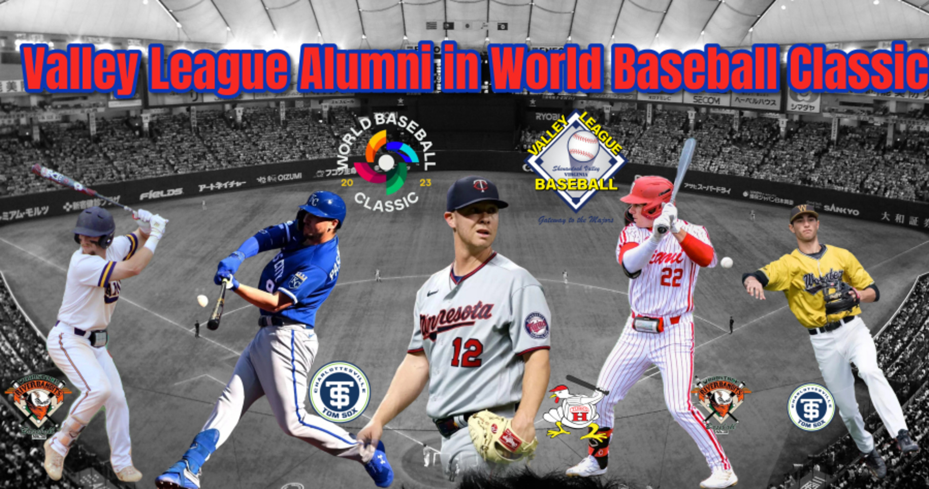 Five VBL Alumni Playing in World Baseball Classic Valley League Baseball