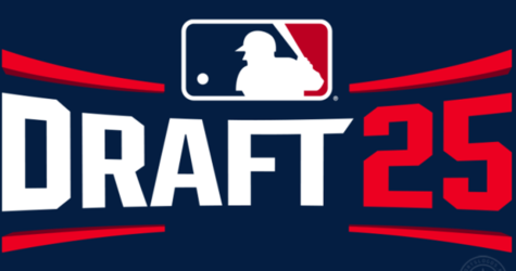 30 Former VBL Players Selected In MLB Draft